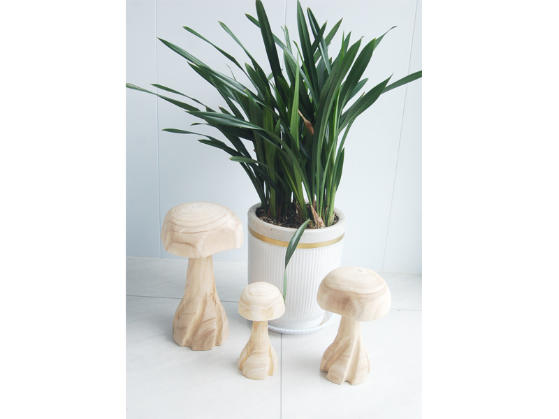 Wood mushrooms